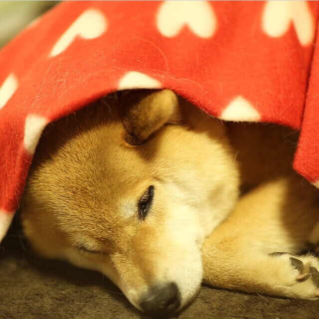 Dota 2 战队战术博弈引爆全场,dota2战略